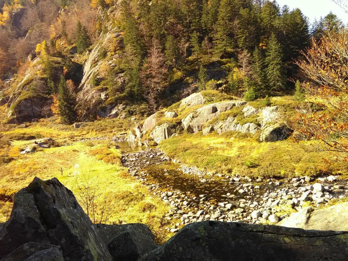 Appartement A La Montagne Aulus-les-Bains Exteriér fotografie